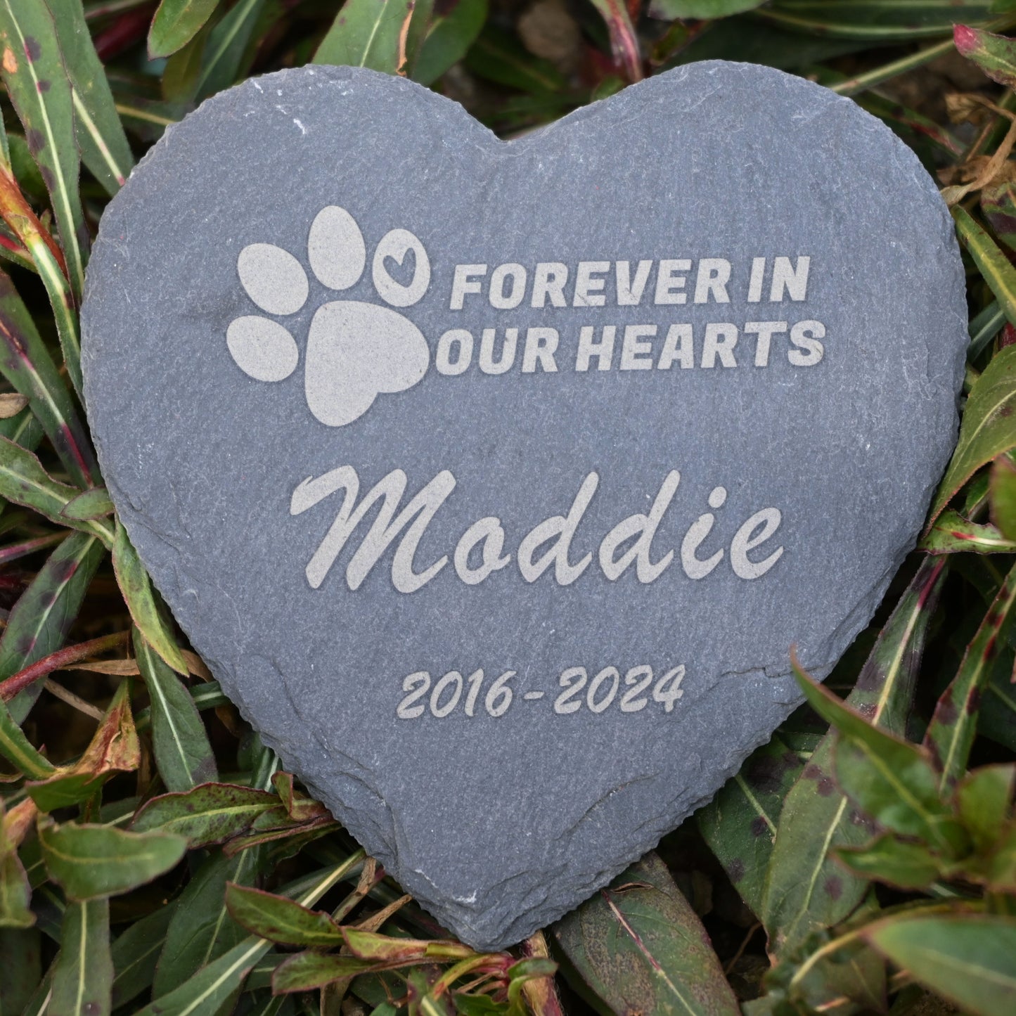 Pet Memorial Stone, Dog Garden Stone Heart Paw Print, Forever in Our Hearts Headstone Memory Gifts for Pet Loss…