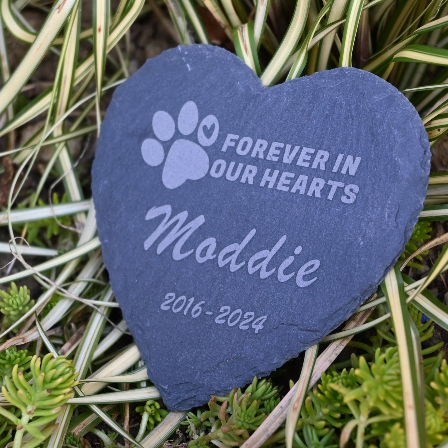 Pet Memorial Stone, Dog Garden Stone Heart Paw Print, Forever in Our Hearts Headstone Memory Gifts for Pet Loss…