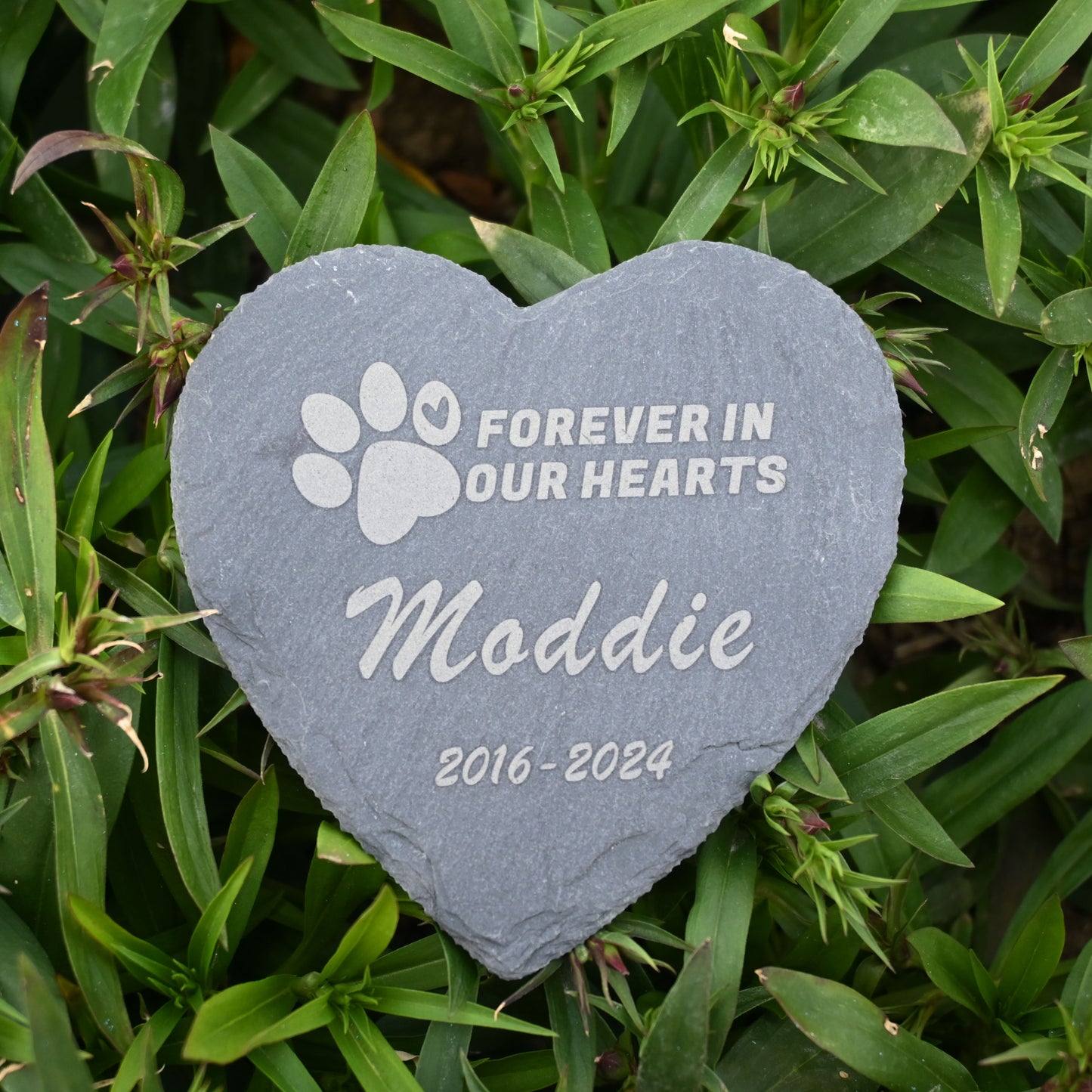 Pet Memorial Stone, Dog Garden Stone Heart Paw Print, Forever in Our Hearts Headstone Memory Gifts for Pet Loss…