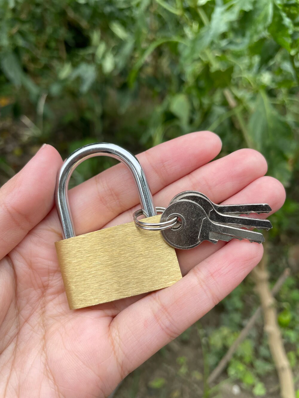 Personalized Brass Keyed Small Padlock Love Lock