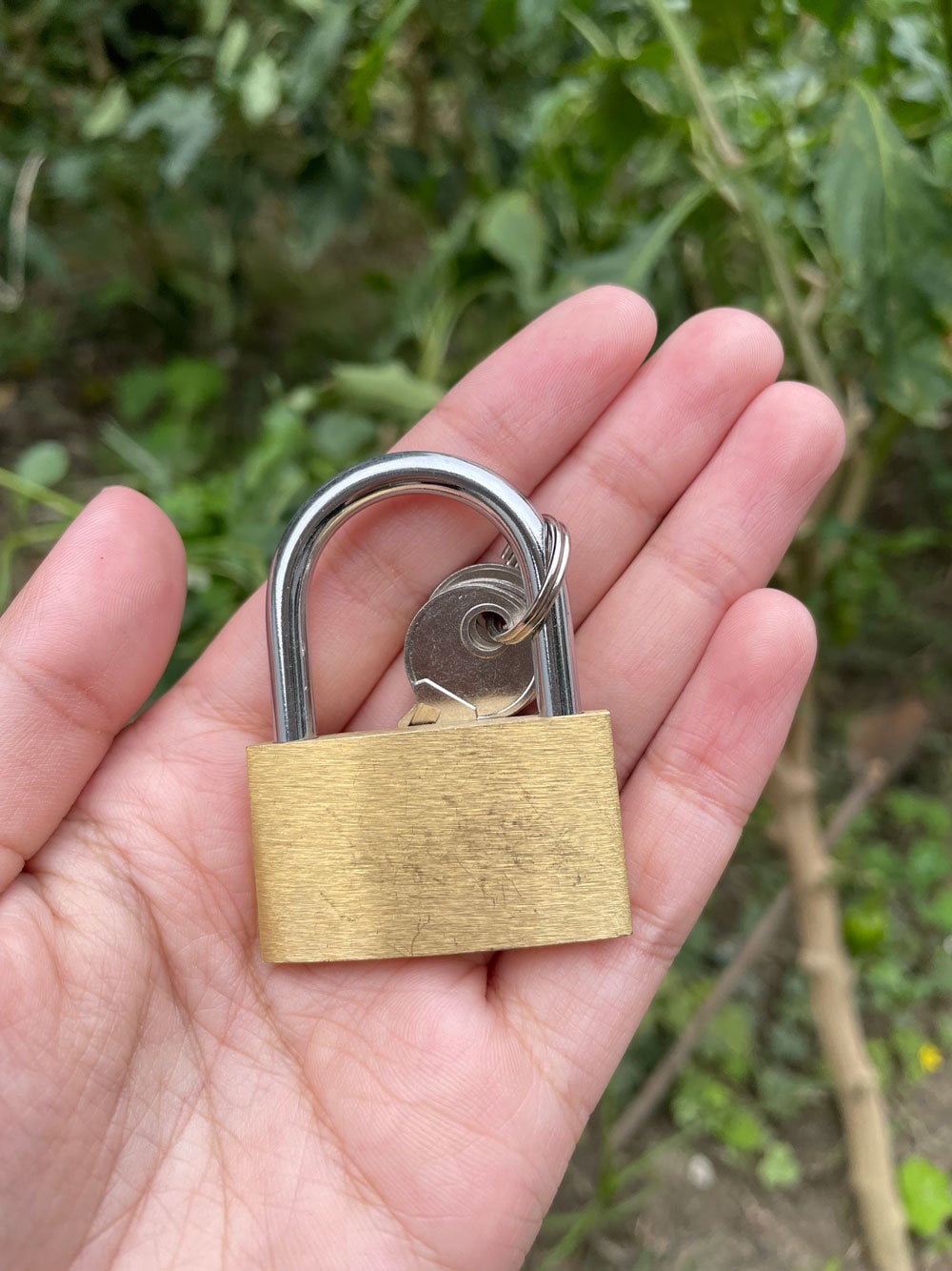 Personalized Brass Keyed Small Padlock Love Lock